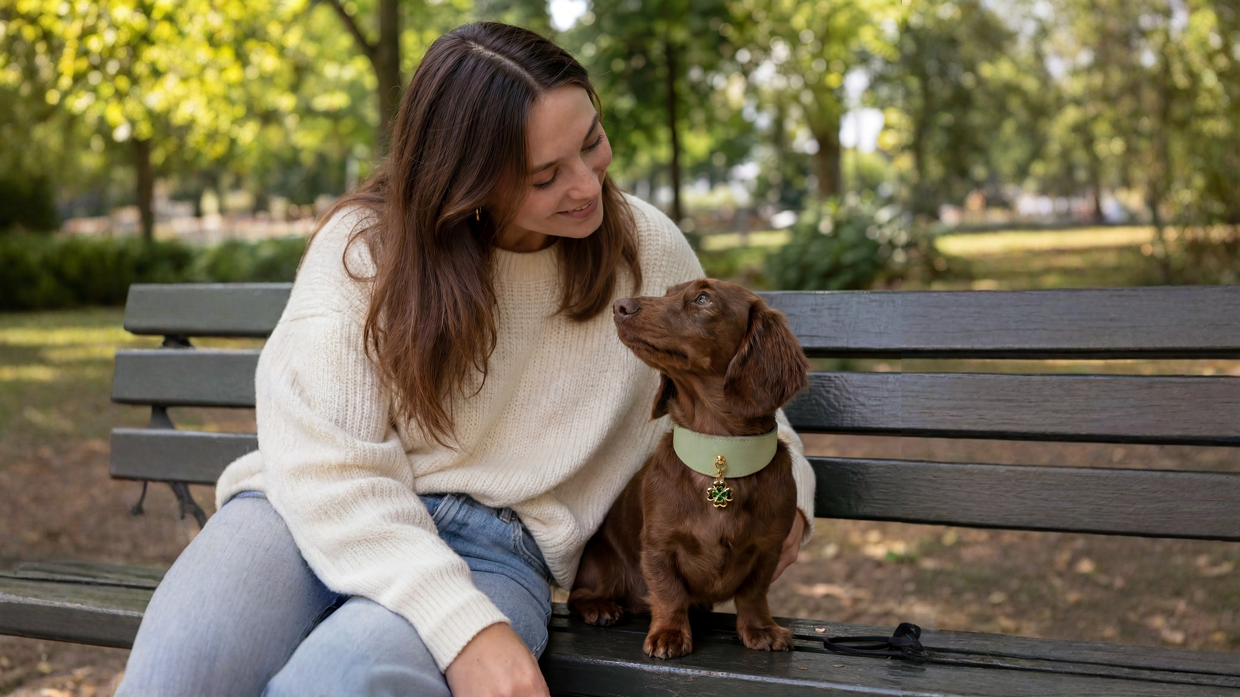 A dog wearing a Tobey & Oliver collar sits on a bench in soft daylight.