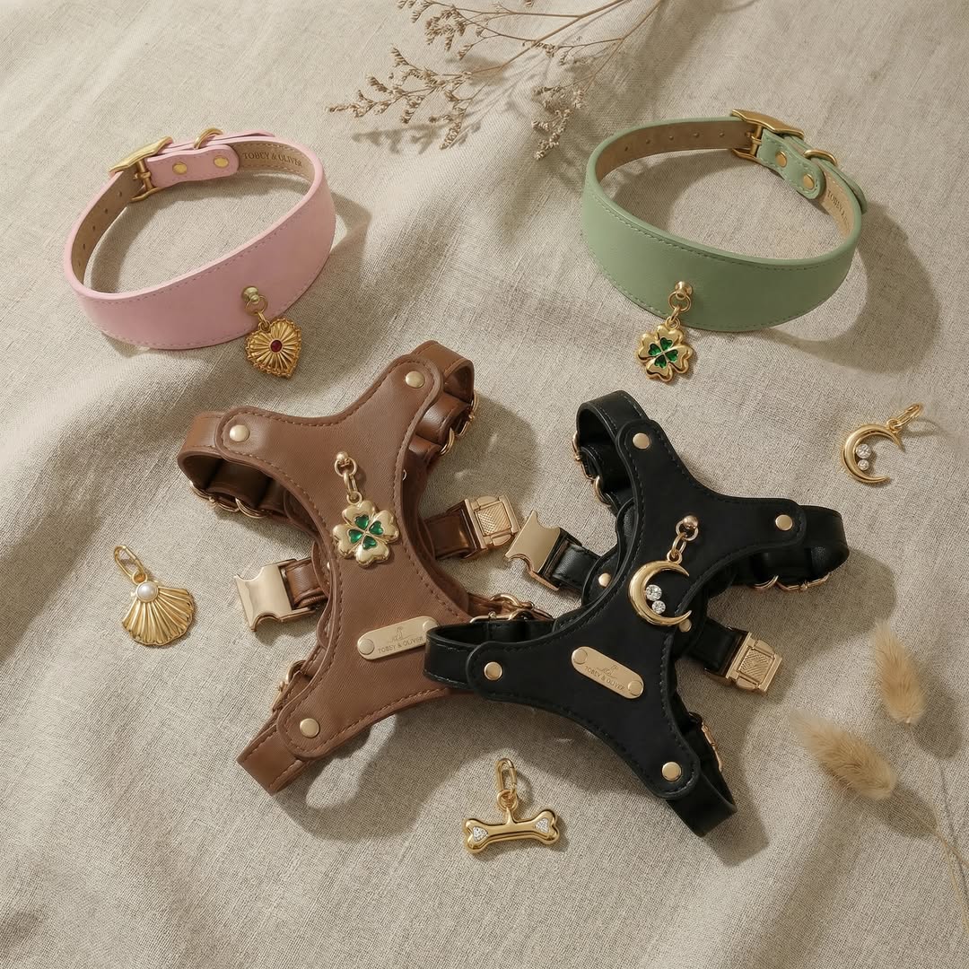 Tobey & Oliver collection flatlay with leather collars, harnesses, and gold-tone charms on linen