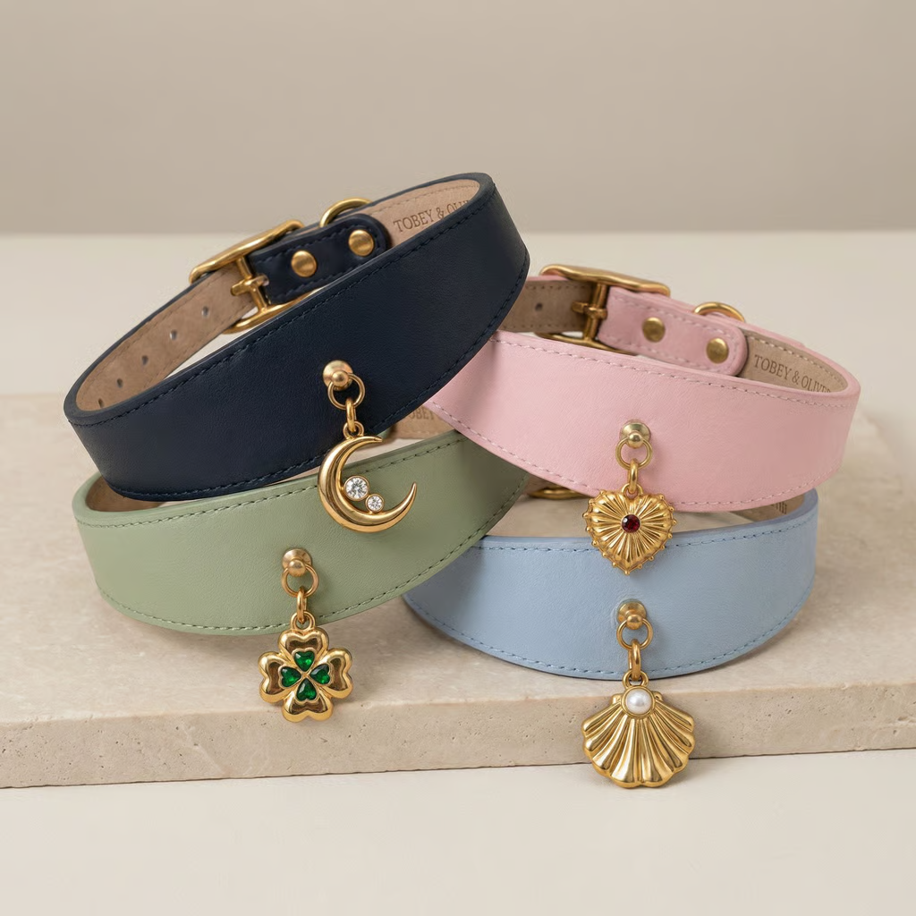 Four Tobey & Oliver leather collars in navy, pink, sage green, and light blue with gold charms stacked on marble