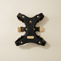 The Toli Harness
