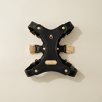 The Toli Harness