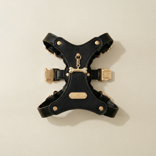 Bone Pendant & Harness Set