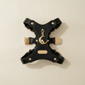 Luna Pendant & Harness Set