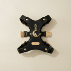 Luna Pendant & Harness Set