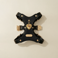 Love Pendant & Harness Set