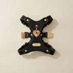 Love Pendant & Harness Set