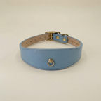 The Toli Collar