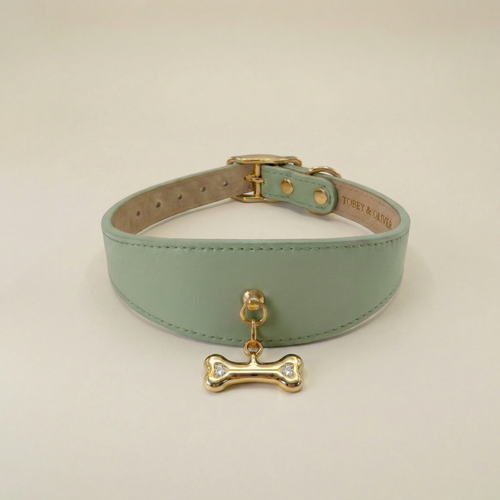 Bone Pendant & Collar Set