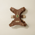 Lucky Pendant & Harness Set
