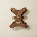 Luna Pendant & Harness Set