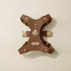 Shelly Pendant & Harness Set
