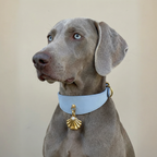 Shelly Pendant & Collar Set