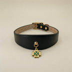 Lucky Pendant & Collar Set