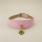Lucky Pendant & Collar Set