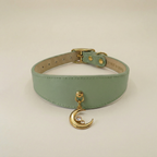Luna Pendant & Collar Set
