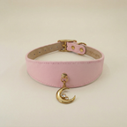 Luna Pendant & Collar Set