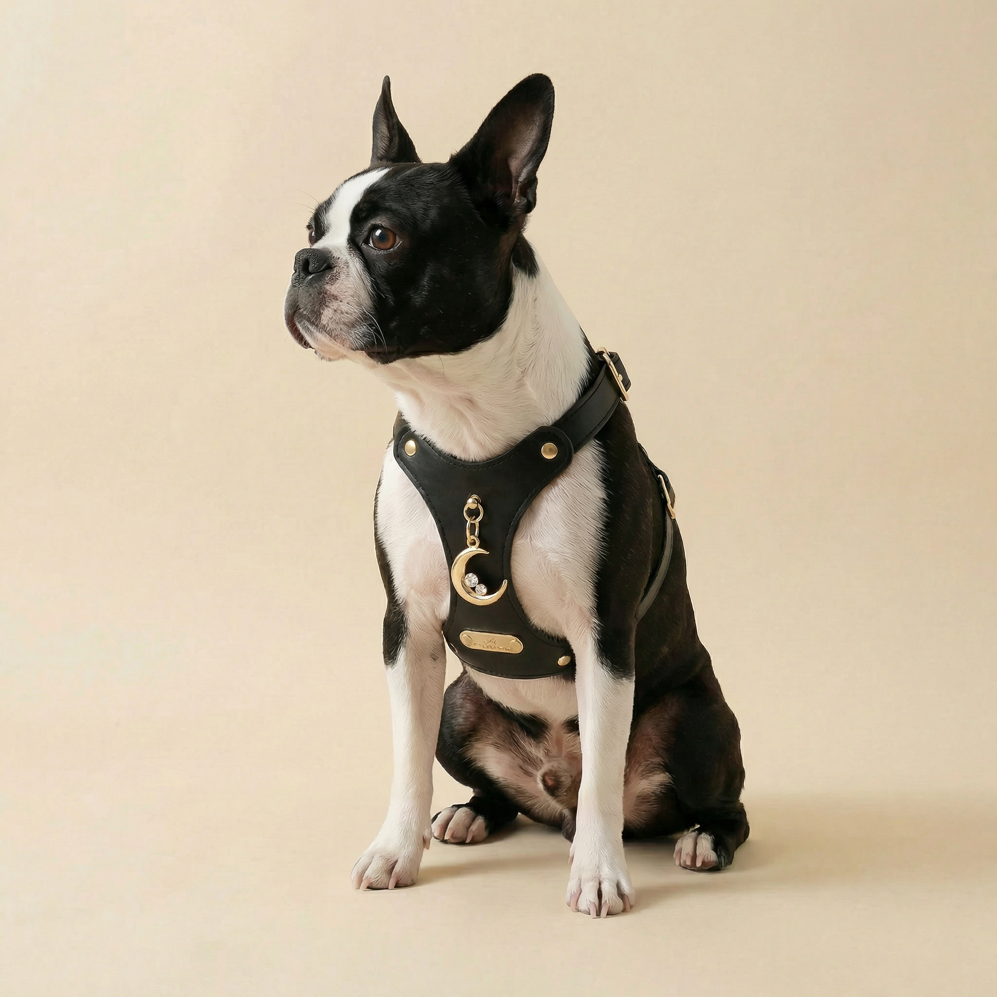 Luna Pendant & Harness Set